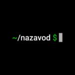 nazavod dev