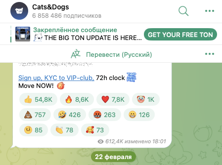 catsdogs как играть