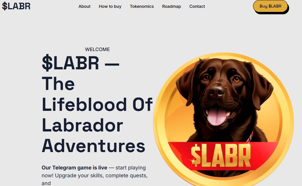 labrador adventures