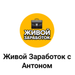 Живой Заработок с Антоном