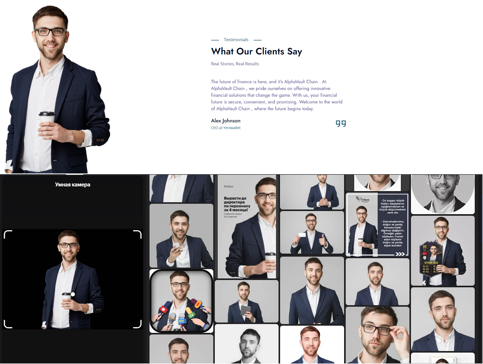 alphavaultchain com alphavaultchain com