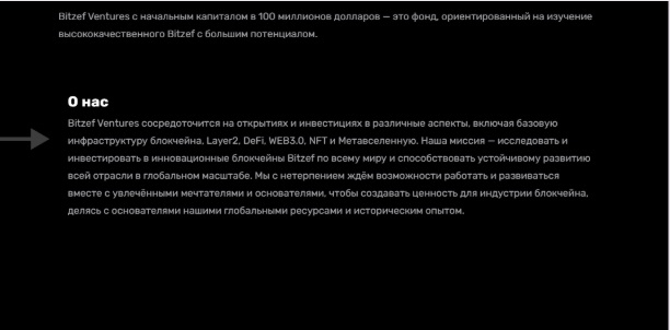 bitzef
