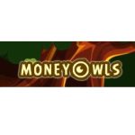 Money-Owls лого