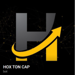 Hoxtoncapital Net