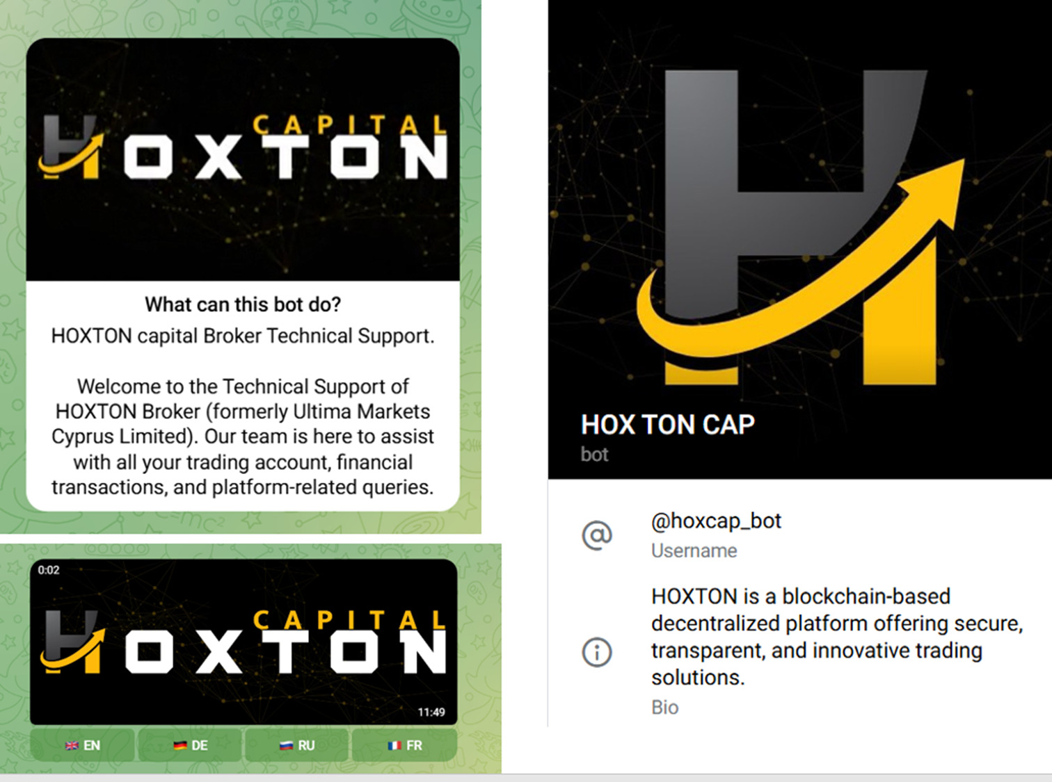 hoxtoncapital net hoxtoncapital net