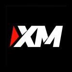 XM com проект