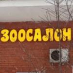 Михалева Надежда