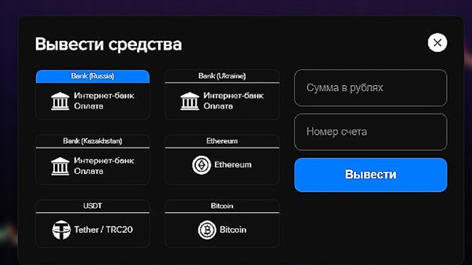 cryptoxpulse co cryptoxpulse co