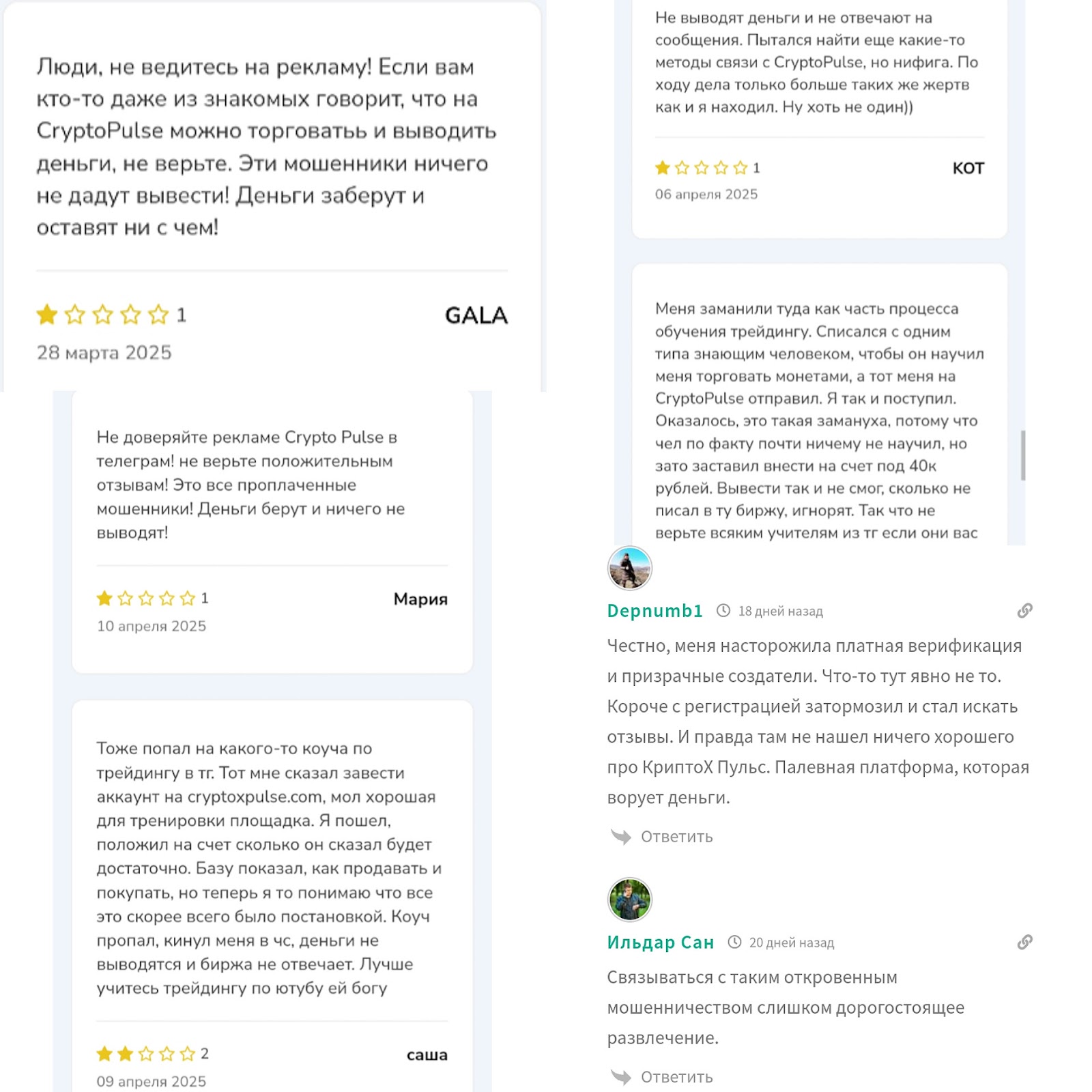криптокспульс криптокспульс