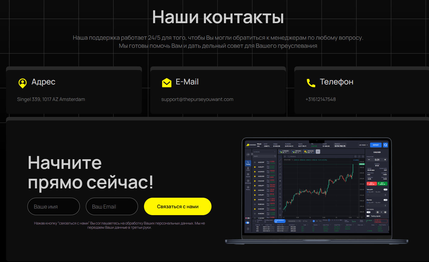 thepurseyouwant com скам thepurseyouwant com скам