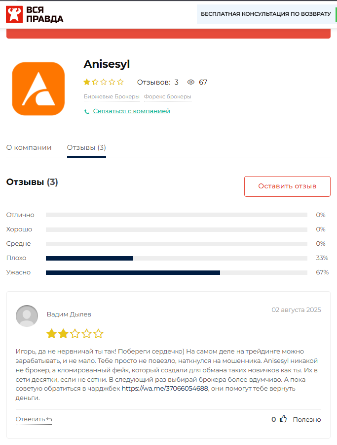 anisesyl com