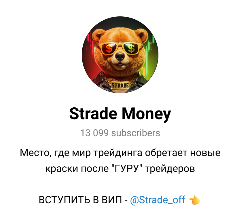 strade money vip отзывы strade money vip отзывы