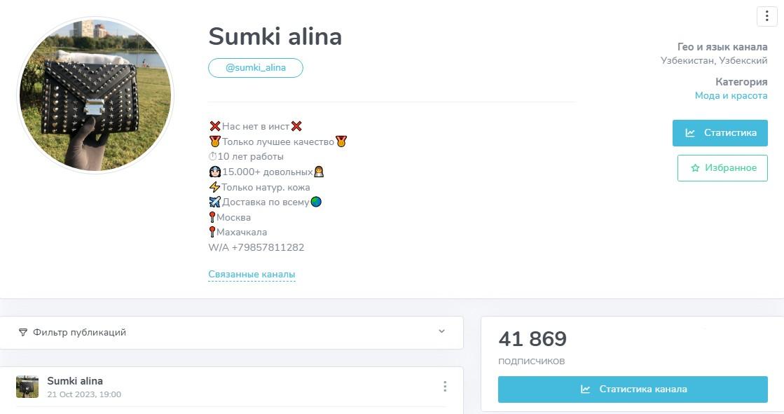сумки алина телеграмм отзывы