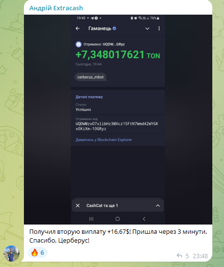 cerberus mining телеграм