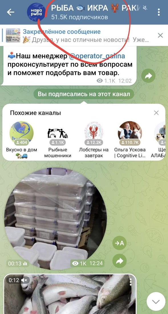 рыбка магазин морепродуктов