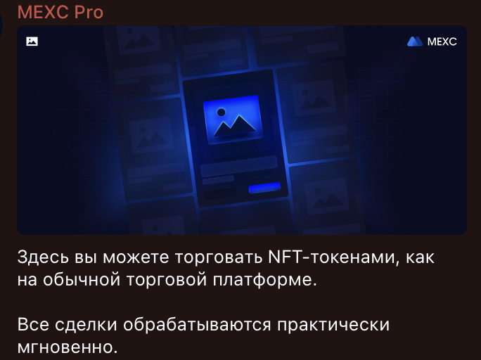 евгения власенко трейдер отзывы