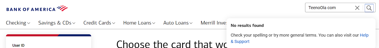 teenoola инвестиции