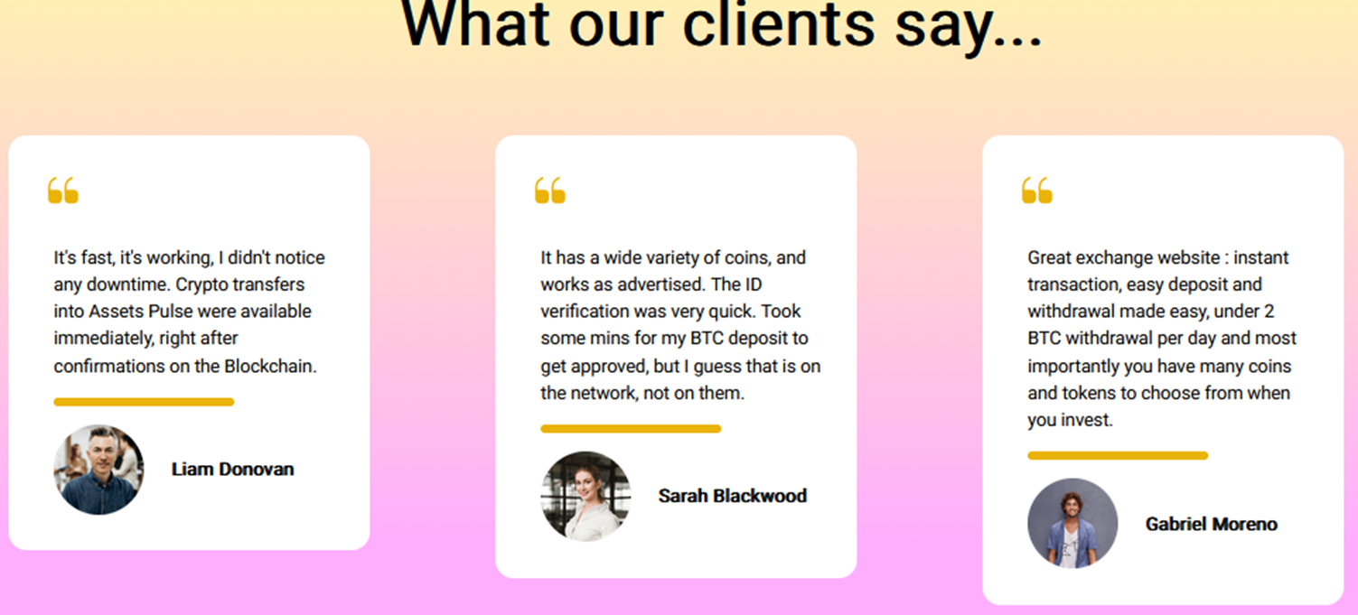 Assets Pulse Assets Pulse