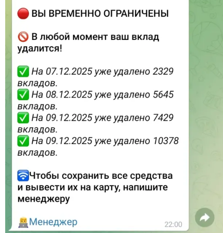 бинго трейдер это