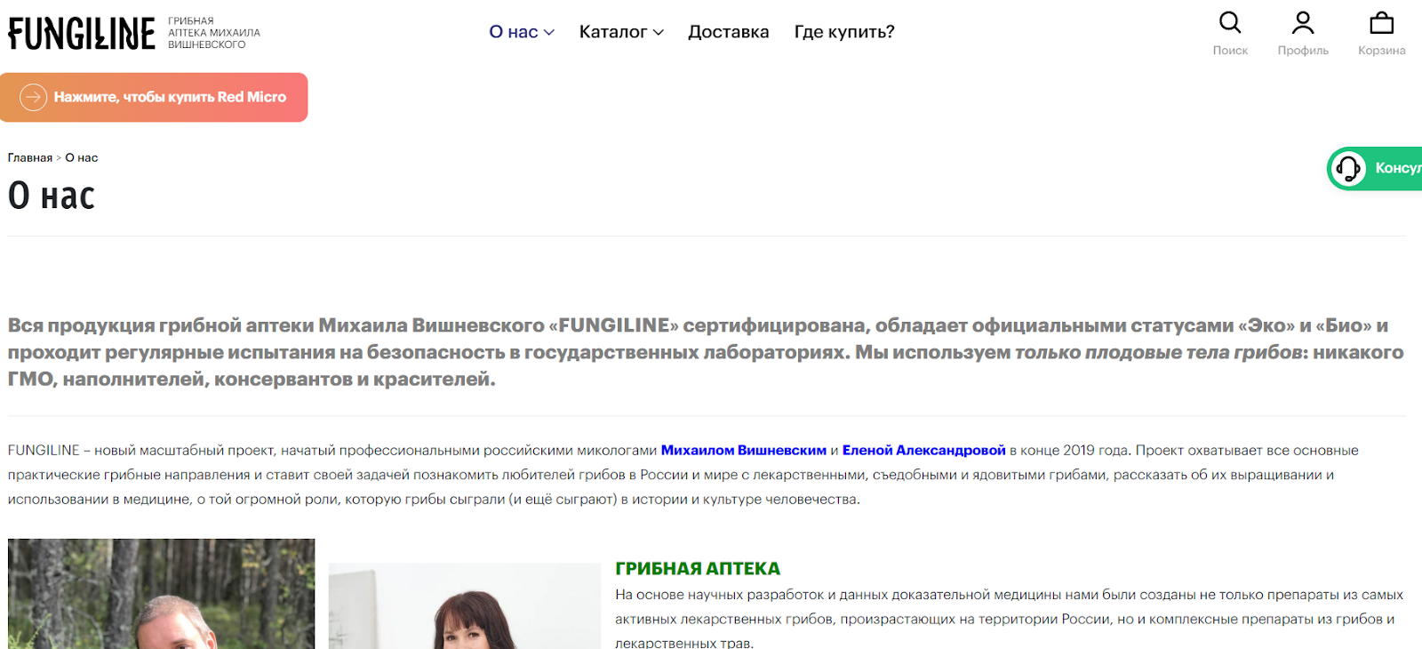 грибная фея