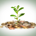 Капитал Шоу: Рынок Чудес