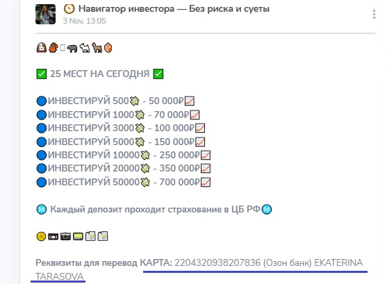 навигатор инвестор екатерина что пишут