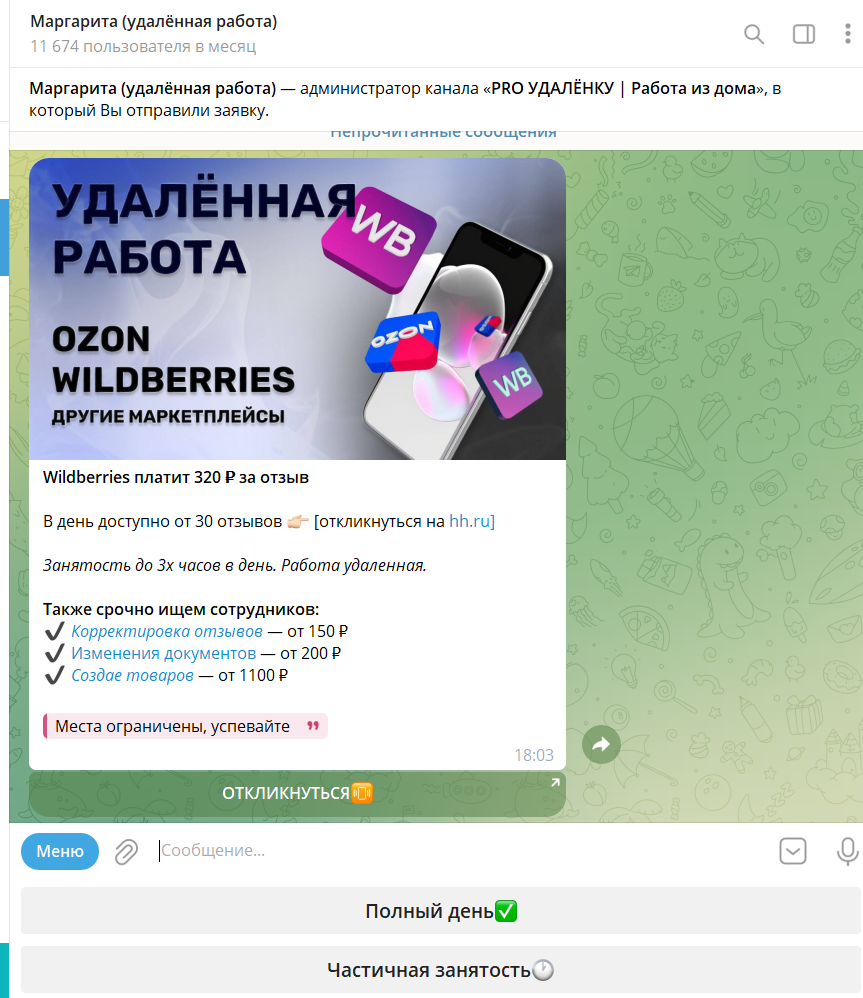 светлана кирова удалённая работа светлана кирова удалённая работа