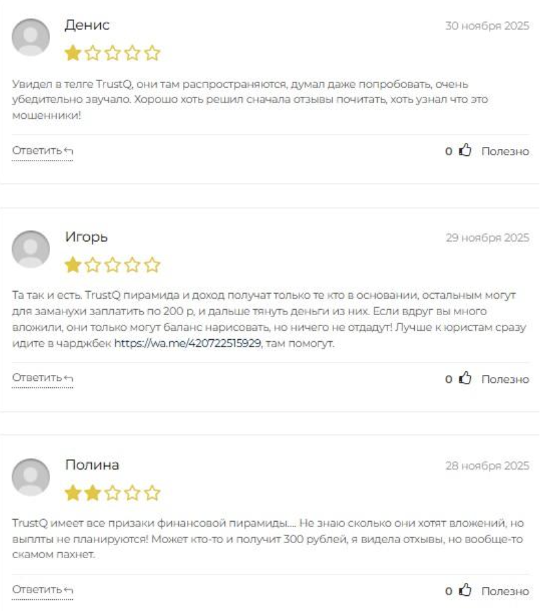 trustq pro заработок