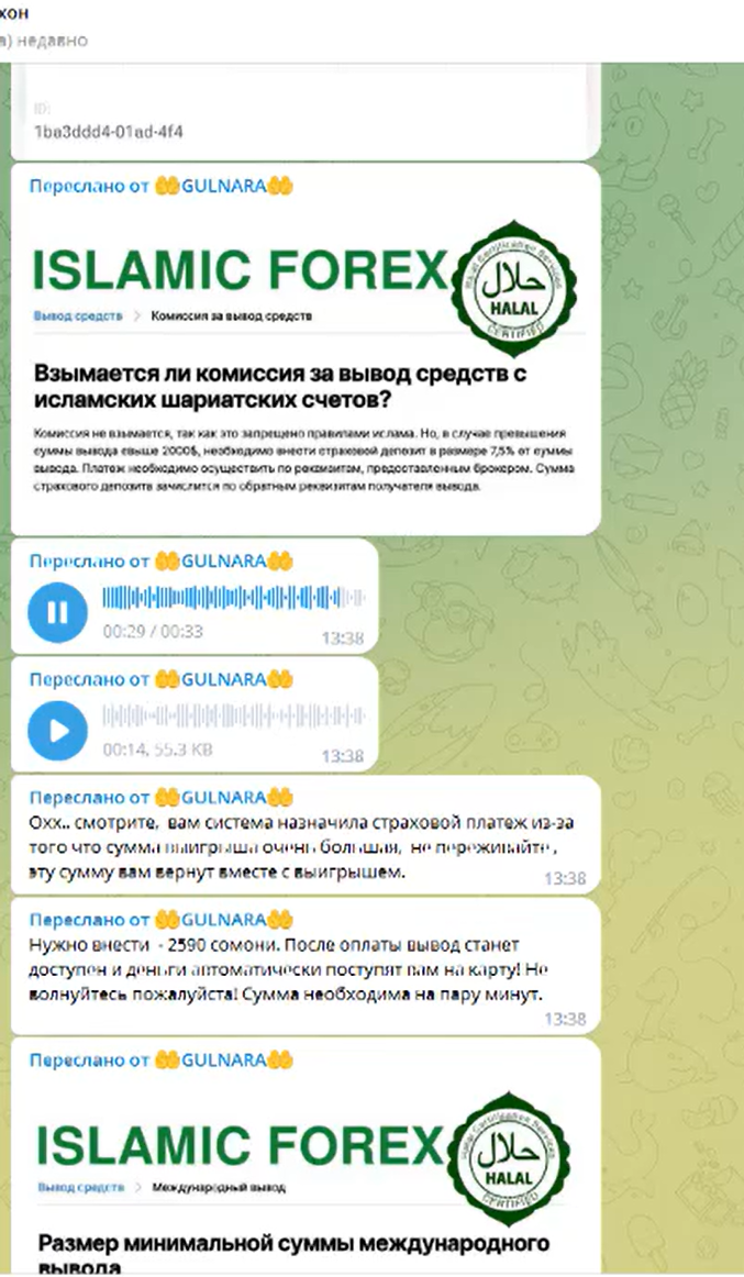 динара халяль заработок отзывы