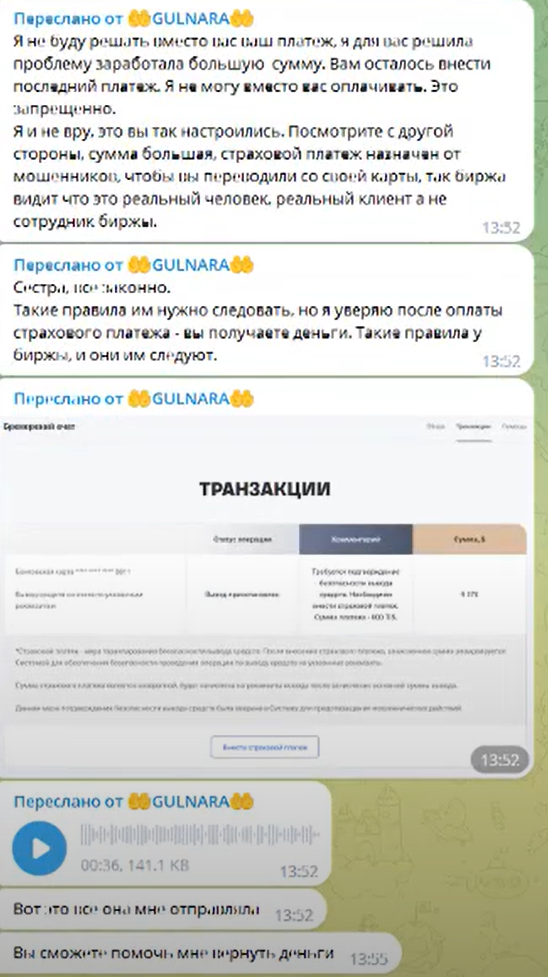 динара халяль заработок отзывы