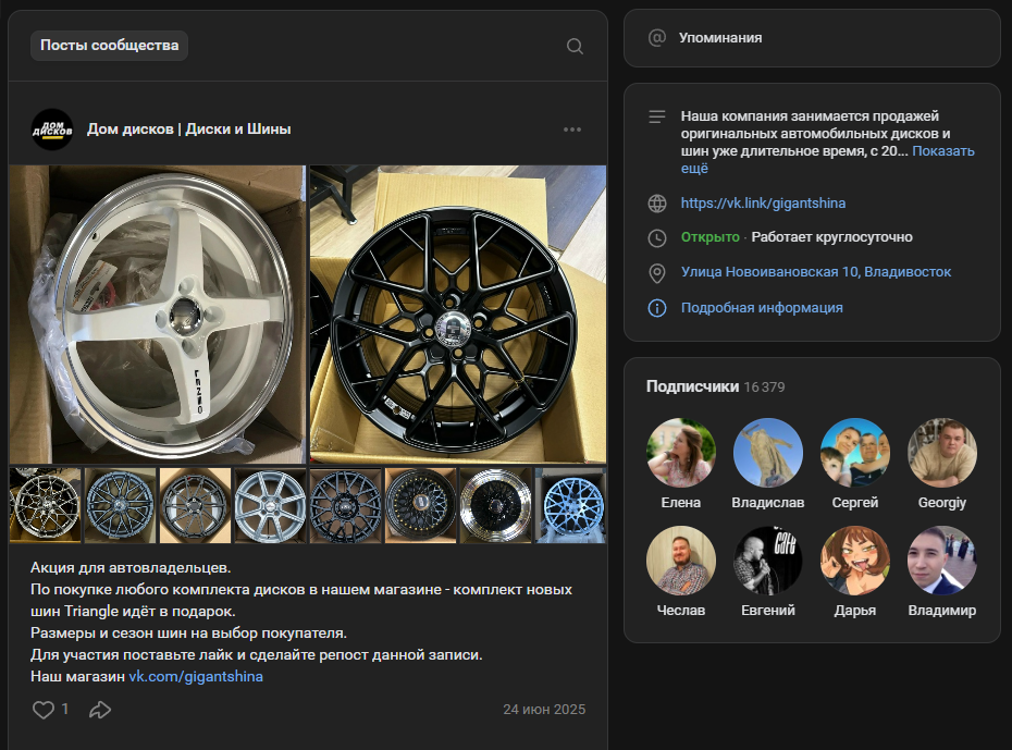 dom diskov diski i shiny