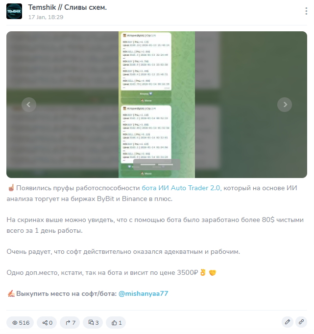 Temshik Сливы схем