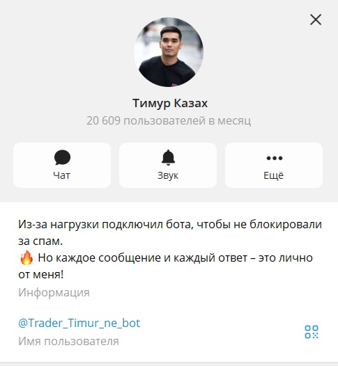 тимур и его команда телеграм
