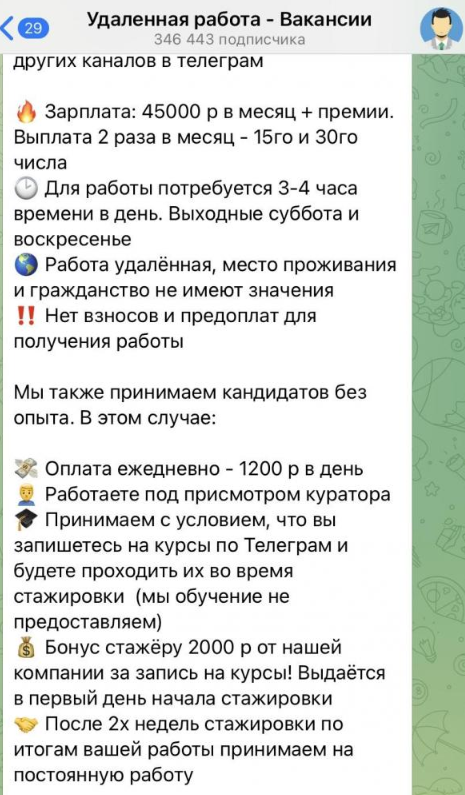 каролина работа