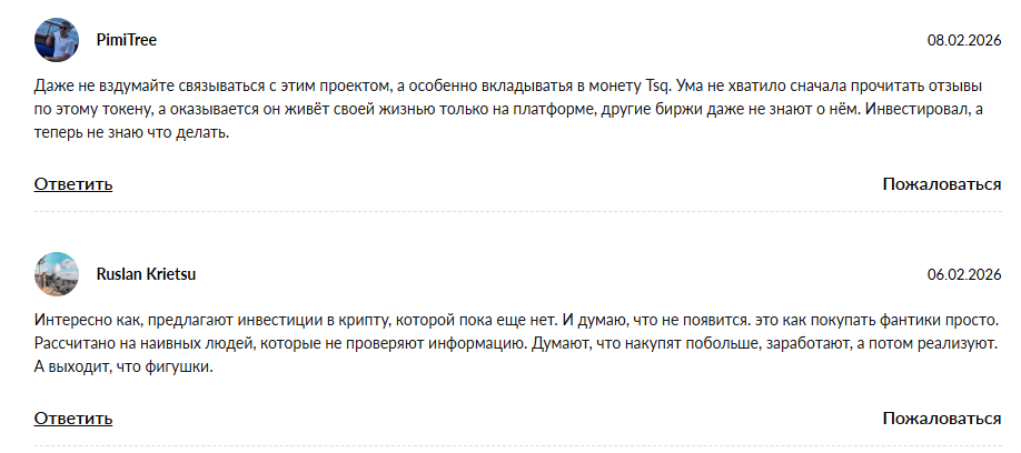 tsqinvestmentgroup com