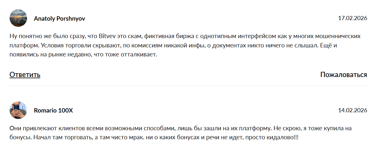 bitvev обменник