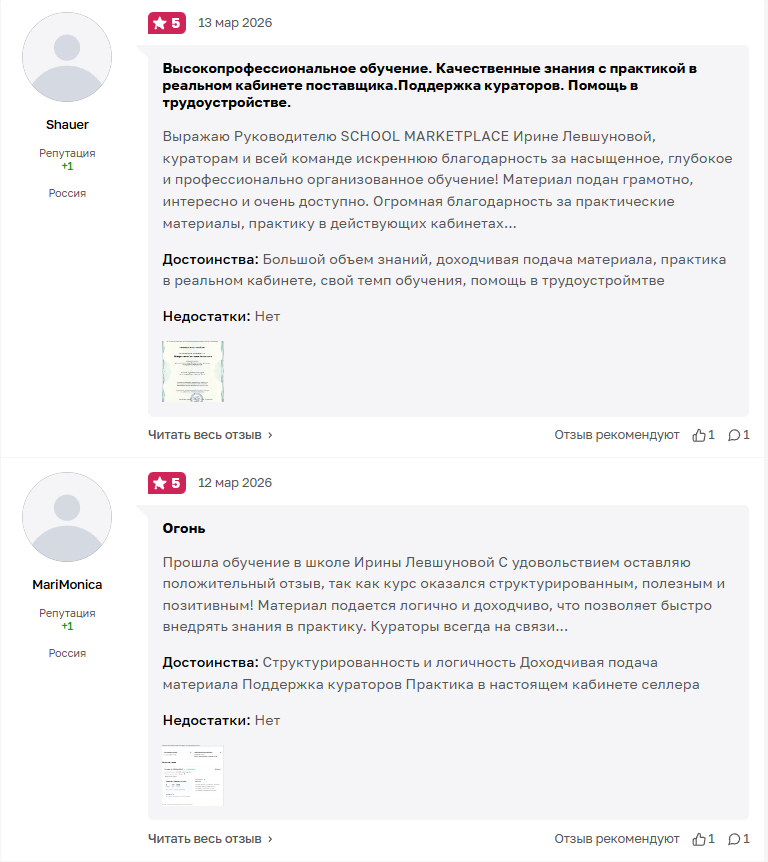 ип левшунова ирина борисовна отзывы о школы ип левшунова ирина борисовна отзывы о школы
