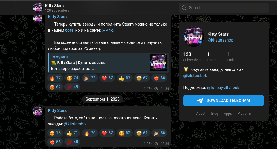 kitty stars тг канал