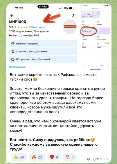 mir1000 отзывы