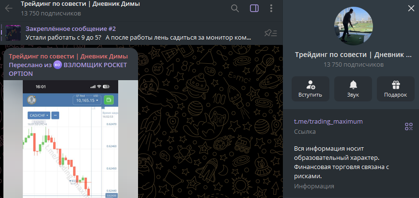 отзывы pocket option торговый жеребец