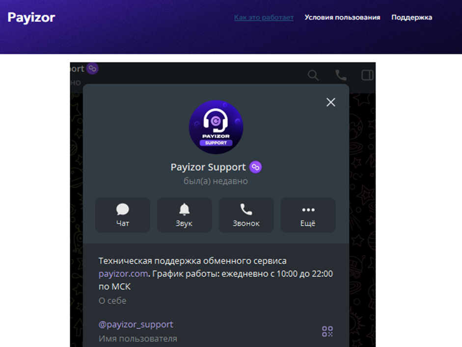 payizor support