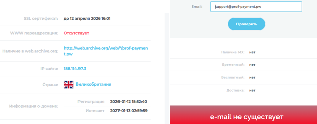 prof payment отзывы