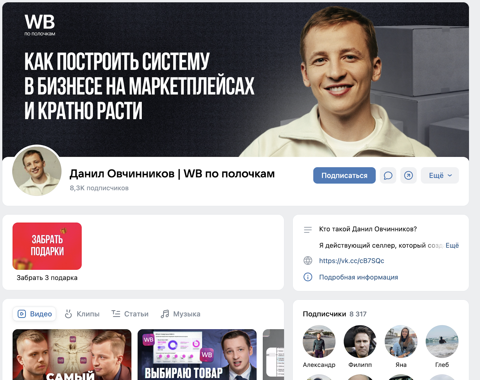 система данила овчинникова