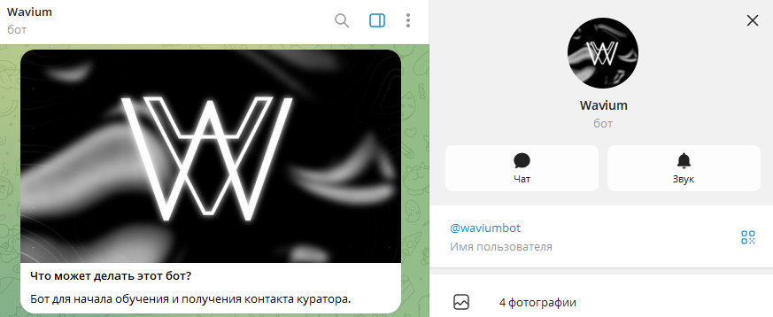 wavium team отзывы