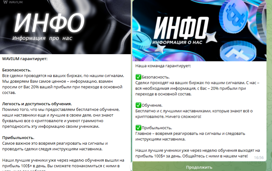 wavium team скам