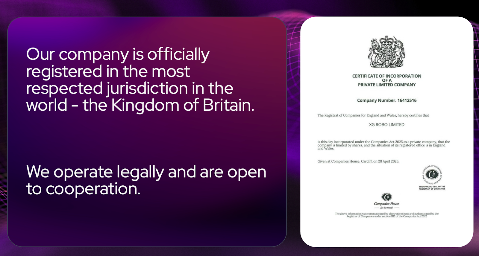 xg robo это компания законная