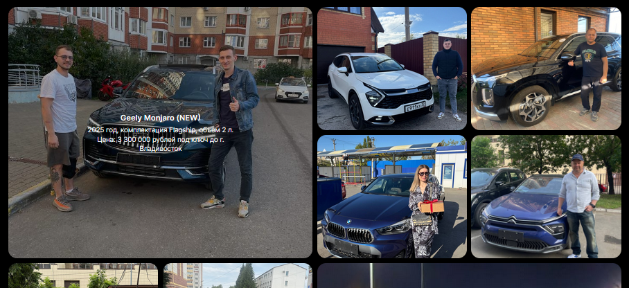 дикарс трейд