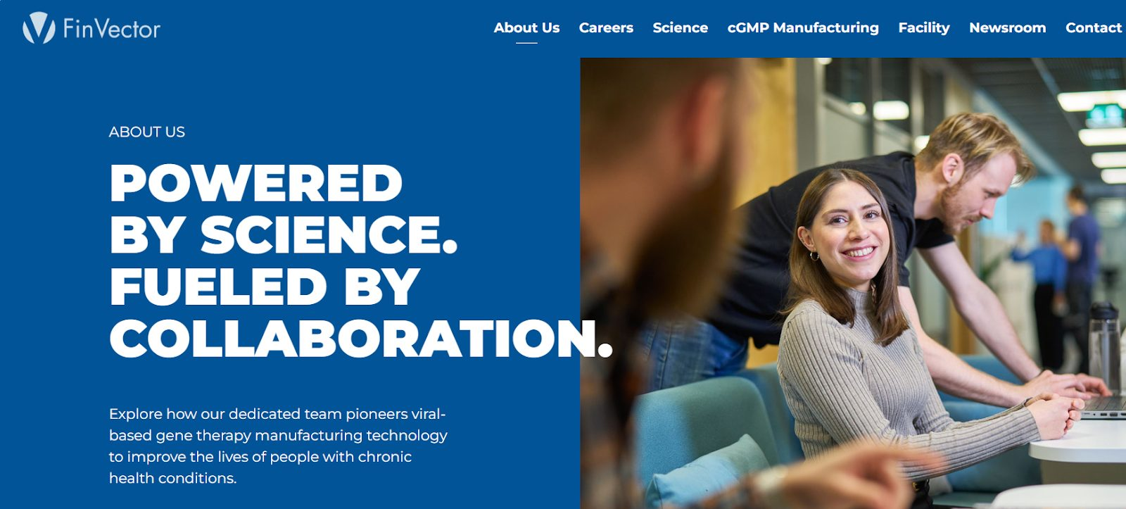 finvector отзывы