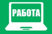 Работа Из Дома