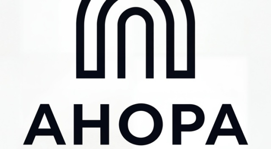 Анора Инвест